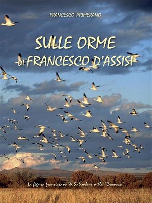cover image of Sulle orme di Francesco d'Assisi
